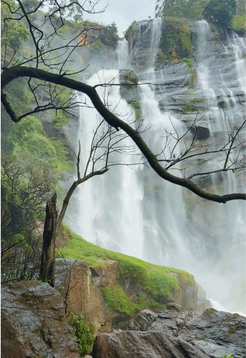 මගේ මවුබිම කොච්චර ලස්සනද සුන්දරද...හරියට දිව්‍ය ලෝකෙ වගේ🇱🇰♥️🫂                                       Bomburu Ella Waterfall 🏔️ . . . .#travel #traveltiktok #bomuruella #waterfallssrilanka #naturevibes #nature #natural  #srilankan_tik_tok🇱🇰 #srilankantraveller #tourism #tourismsrilanka #whatsappstatus #naturevideos #sinhalawhatsappstatus #sinhalaquotes #nuwareliya #nuwaraeliyasrilanka #srilankantravelplace #wildlifesrilanka 
