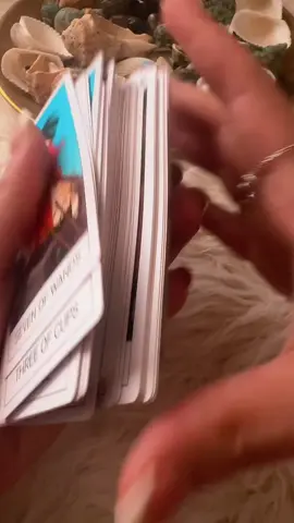 #باندول #طاقه #جذب_المال_والثروة_بسهولة #جذب #تاروت #SpiritualGuidance #TarotCard #تاروت_حدسي #viralvideo#تاروت_ابراج #تاجک__اوزبگ__پشتون__هزاره__ترکمن #تاروت_علي_القهوة #tarot 