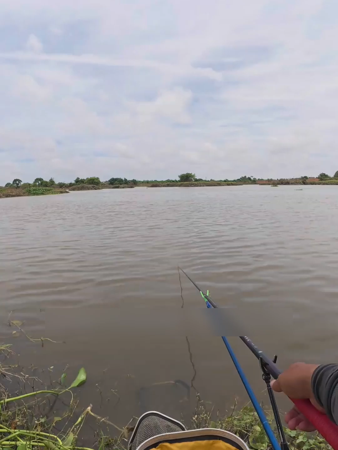 #cauca #caucatunhien #caudai #moicau #sanhangtunhien #fishing #rophi #caucadichvu #cadiec #calaukieng
