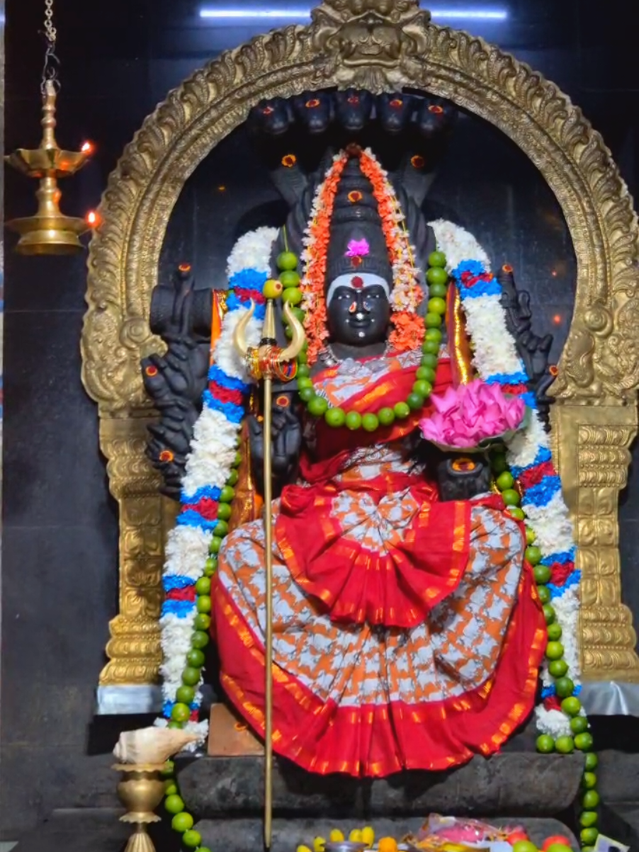 Just surrender to her 🪷🌿 #mahamayi #aatha #aaya #gundamma #azhagi #samayapurathal #samayapurathale #samayapuram_mariamman #divine #peace #happiness #evileyesoff🧿🖤 #kavitamanimaran #thetriplet_kavinis #CapCut #fyp 