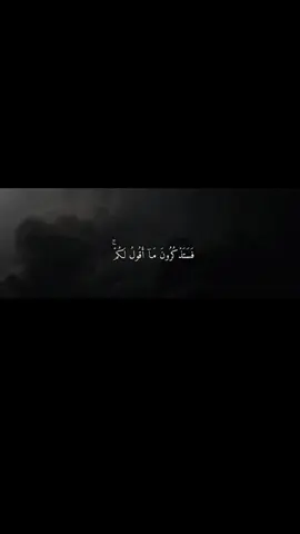 #قران_كريم  #استغفرالله_العظيم_واتوب_اليه#سلمان_العتيبي 