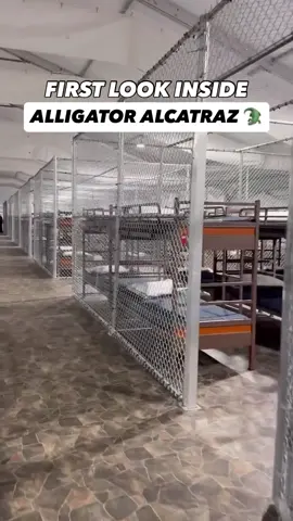 Alligator Alcatraz deportation camp in Florida. Guys be careful out there. 