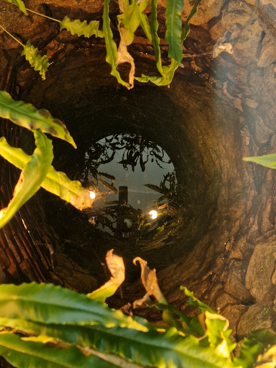 Creepy or cool?? Mixed emotions from people on the well in our living room. We love it 🤣 #houseoftiktok #creepytok  #creepyorcool #fairywell #fairies #trending 