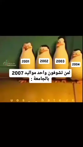 😂😂😂😂😂😂😂😂😂  #شعب_الصيني_ماله_حل😂😂 #citywalkjeddah 