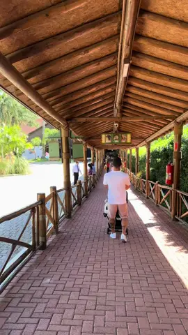 🎢🦁 Um dos parques mais completos do Brasil! Animália Park é tipo Disney + zoológico em Cotia (SP)! 💡 Trilha climatizada, teleférico, brinquedos, fazendinha e mais de 1.200 animais! ✨ A experiência é incrível, mas se liga nos gastos: 🎟 Ingresso promo: R$150 por pessoa 🚗 Estacionamento: R$70 🚡 Teleférico ida+volta: R$50 🍽 Almoço ou lanches: ~R$70 por pessoa ☕ Café da manhã no aviário: R$60 (opcional) 👶 Carrinho infantil (aluguel): R$50 💰 Total médio: R$250 a R$350 por pessoa, dependendo das escolhas! Vale a pena? Eu te mostro tudo nesse vlog! 👇 #AnimaliaPark #PasseioEmFamília #CotiaSP #VlogDeViagem #ZooSP #ParqueTemático #DicaDePasseio #OQueFazerSP #DiversãoGarantida #FDSComCrianças #searchcreatorinsights 