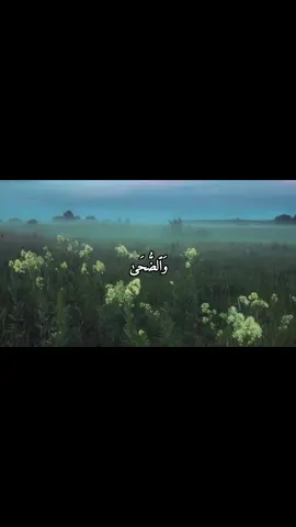 سورة{الضحى } |المنشاوي  ... #تلاوة_خاشعة #القرآن_الكريم #قران_كريم #fyp #القران_الكريم_راحه_نفسية😍🕋 #المنشاوي #رمضان #quran #alquran #اكسبلور #اسلاميات #foryoupage 