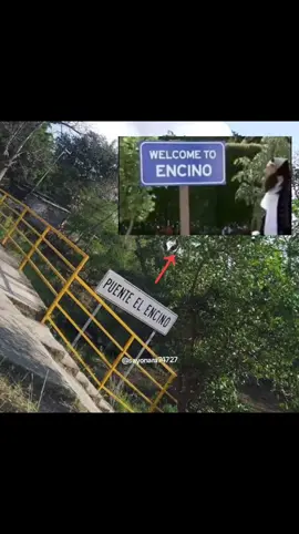 Encontré El Encino  🔥 DEBES CREER, DEVUELTA EN ENCINO, LO DEBES CREER Y LO PODRAS VER, LO DEBES CREER DEVUELTA EN ENCINO, LO DEBES CREER Y LO PODRAS VEER 🗣️💎🔥 #memes #humor #encino #parativiral #bobesponja #bobesponjamemes #spongebobsquarepants  #nuevoencino #llera #vivellera #tamaulipas #parativiral #parati #fyp 