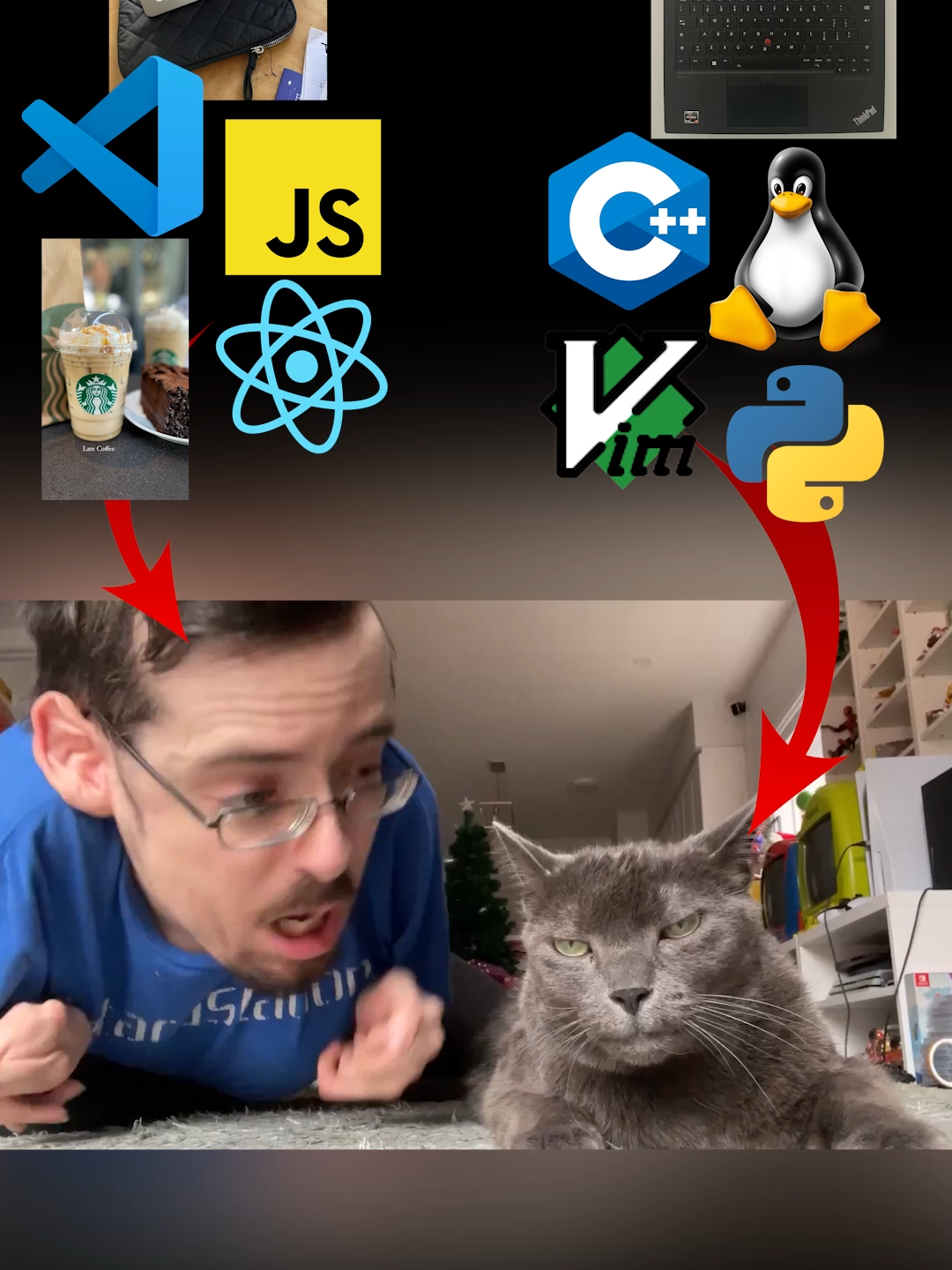 Автор прызывает к любви друг друга #linux #recommendations #fpy #fpyシ #programming #python #javascript #react #cpp