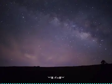 我不愛無聊人間 只偏愛你的眉眼 #風月吻眉梢  #禮越  #音樂  #音樂分享  #音樂推薦  #深夜音樂  #文案  #文案分享  #文案只是文案與我生活無關  #一首歌一个故事  #我的音樂你的故事  #min  #༄༊min࿐  #༄༊jimin࿐ 