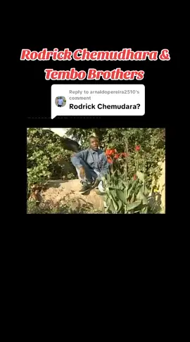 Replying to @arnaldopereira2510 #zimtitokers🇿🇼🇿🇼🇿🔥🔥🔥🔥 
