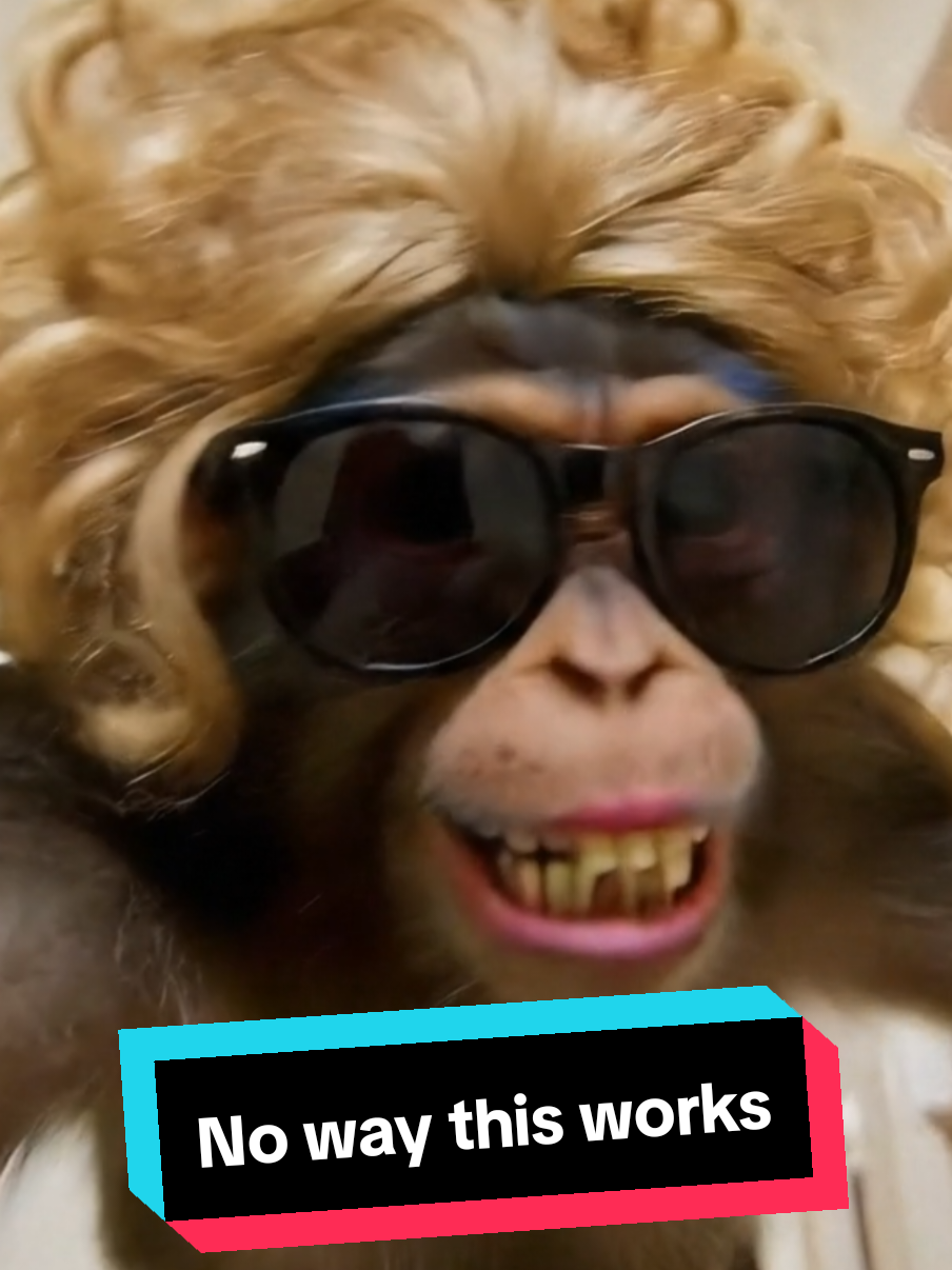 no monkeys were hurt in the making of this video   #delulu #funny #fyp 