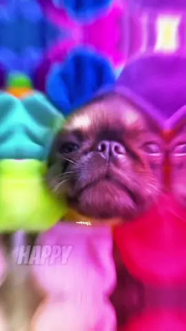 Happy birthday! It’s July! -Yearly appreciation post for the best birthday song ever written 🎉 by @Soupy Garbage Juice #happybirthday #birthday #song #july #fyp #funnysong 