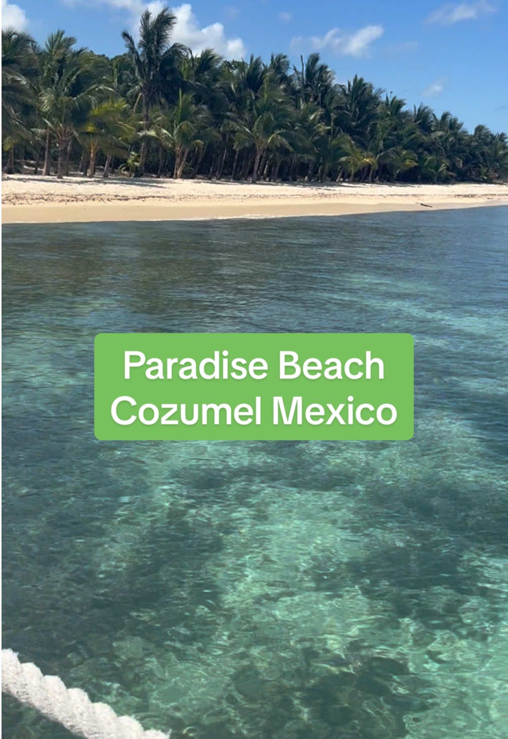@Paradise Beach Cozumel #travel #vacation #goals2025  #beachclub #cozumel #cozumelmexico #mexico 