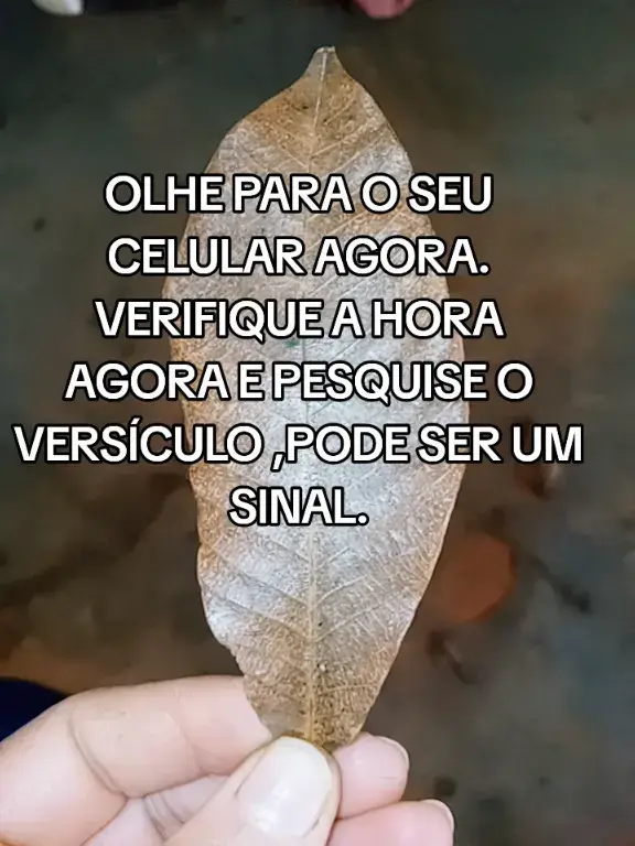 Bem -aventurado quele servo a quem o senhor ,quando vier ,achar fazendo assim.