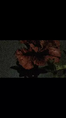 her yeni gün düne çentik atıyor. hisler kaldı, hissettirenleri unuttum. zaman geçiyor, bunu biliyorum. çünkü saçlarım bir şey söylemeden değişiyor, çünkü aynaya her bakışım biraz daha yabancı geliyor. ama yaşadım mı gerçekten? hangi günü yaşadım da 