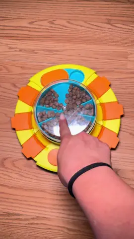 If your dog eats too fast or gets bored easily, this puzzle feeder is a total game changer! It turns mealtime into a fun challenge while keeping their mind busy and engaged. Highly recommend for mental stimulation and slowing down speedy eaters! #DogMomLife #DogEnrichment #SlowFeederChallenge #SmartDogToys #DogPuzzleFun #PetParentTips #DogBehavior #EnrichmentForDogs #DogFeedingTime #MentalStimulationForDogs