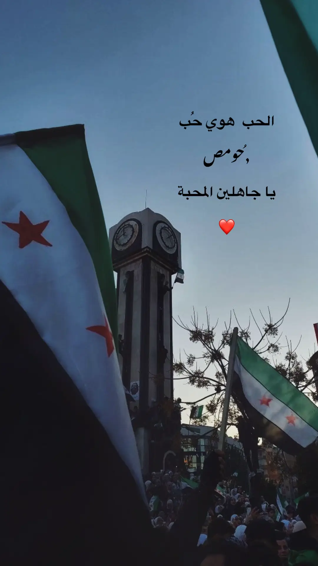 #حومص #سوريا🇸🇾 #العدية #حمصيه #بنت_الوليد #fypシ #explore #syria #حب #وطن 