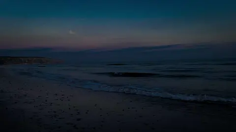 #bluehour #nature #darkaesthetic #relaxing 