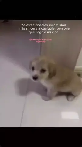 😞...