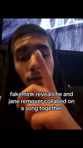 fakemink reveals he and jane remover collabed on a song together #sleazepop #thehellp #2hollis #natesib #10cust #fakemink #nettspend #janeremover 