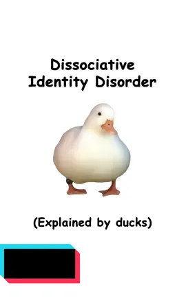 DID (explained by ducks) #did #ducks #dissociativeidentitydisorder #dissociation #ducksoftiktok #cute #learn #goose #viral #fyp #MentalHealth #