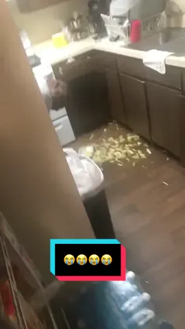 #hotfood #freshfood #toohot #crying #upset #funnyvideo #funnymoments #fumbledthebag #🤦🏽‍♂️ 
