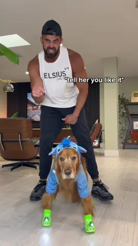 Luna was nervous showing off her new costume. You better hype her up in the comments @lunathatgolden #dogcostume #dogdad #goldenretriever #liloandstich #disney 