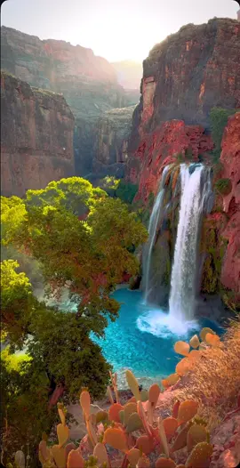 Water Fall