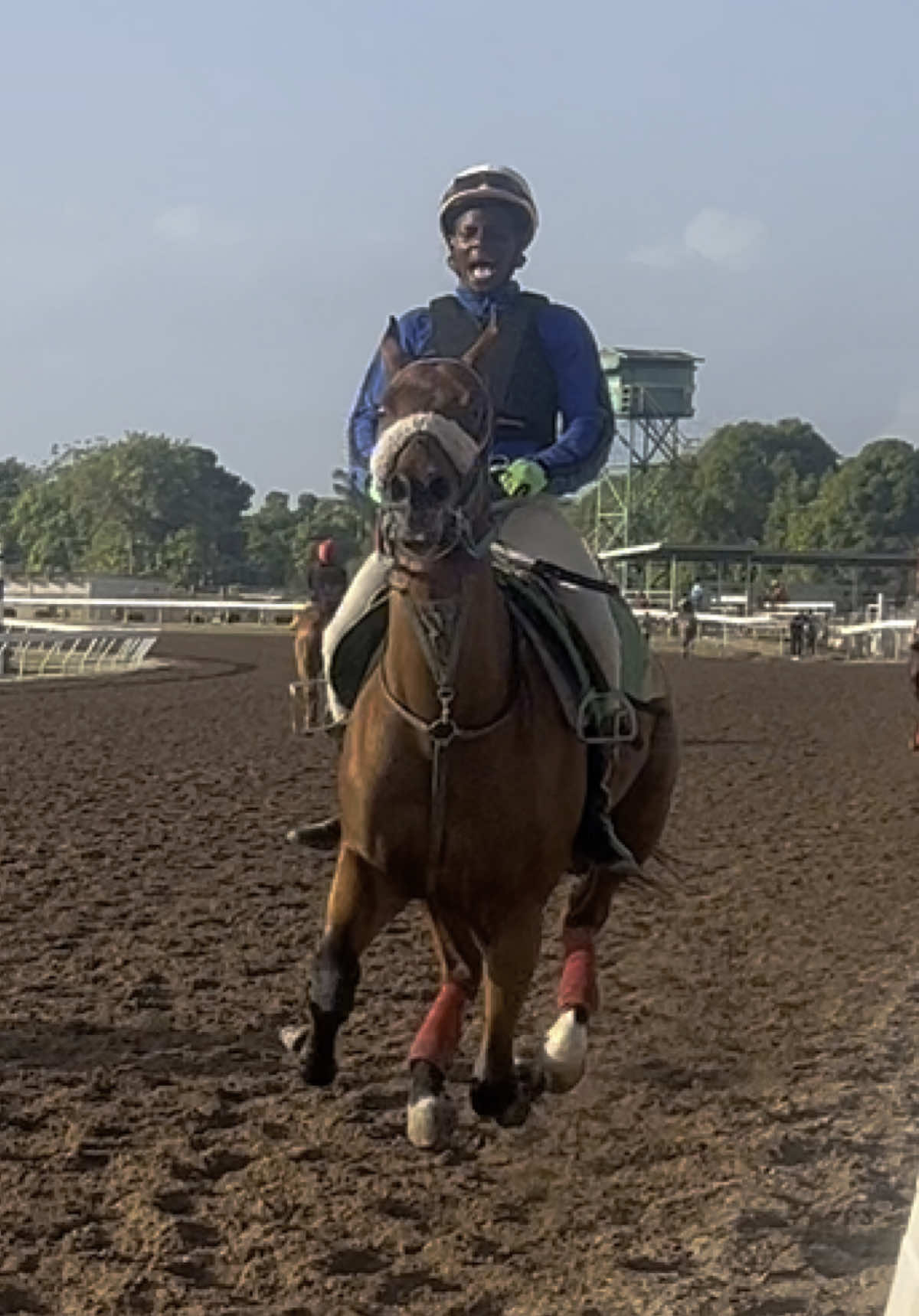 Safe to say the jockey was hanging on for dear life😩😅 ***horse and jockey are both okay*** @S.Gordon🙏🏽   #caymanaspark #jamaica #horseracing #boltinghorse #galloping #racehorse 
