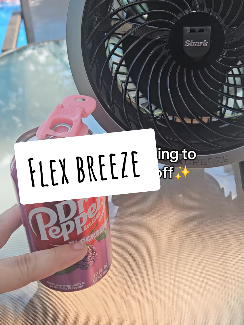 This thing is literally the BEST. About to fill it up and get some mist 😍✨ #shark #sharkflexbreeze #flexbreeze @Shark Home 
