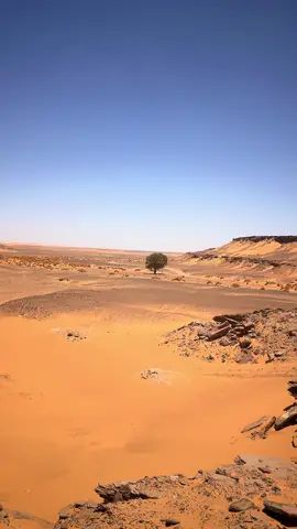 #libya🇱🇾 #مصراته_الصمود🇱🇾🇱🇾🔥😌 #زنتان_تااغرمين_الوااشين_🔥🦅 