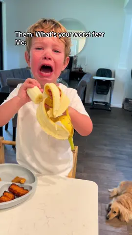 I fear I’ve dreaded the day this would happen for a long time #toddlersoftiktok #2under2 #3under3 #millennial #boymom #fyp #irishtwins 