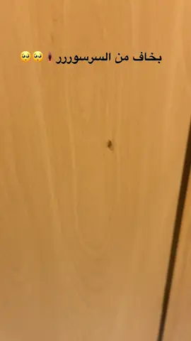 بس سراسير دبي غير 🤭🤣🤣🤣🤣 هيدا السرسور اجا لعندي يقلي تصبحي على خير 🤭😆🤣🤣 #بخاف_من_السرسور #sandraasmar #ساندرا_الاسمر #sarsuuuurrr #sarsurrr #ohmyallah #trend #qesmawnaseeb #funnysong 