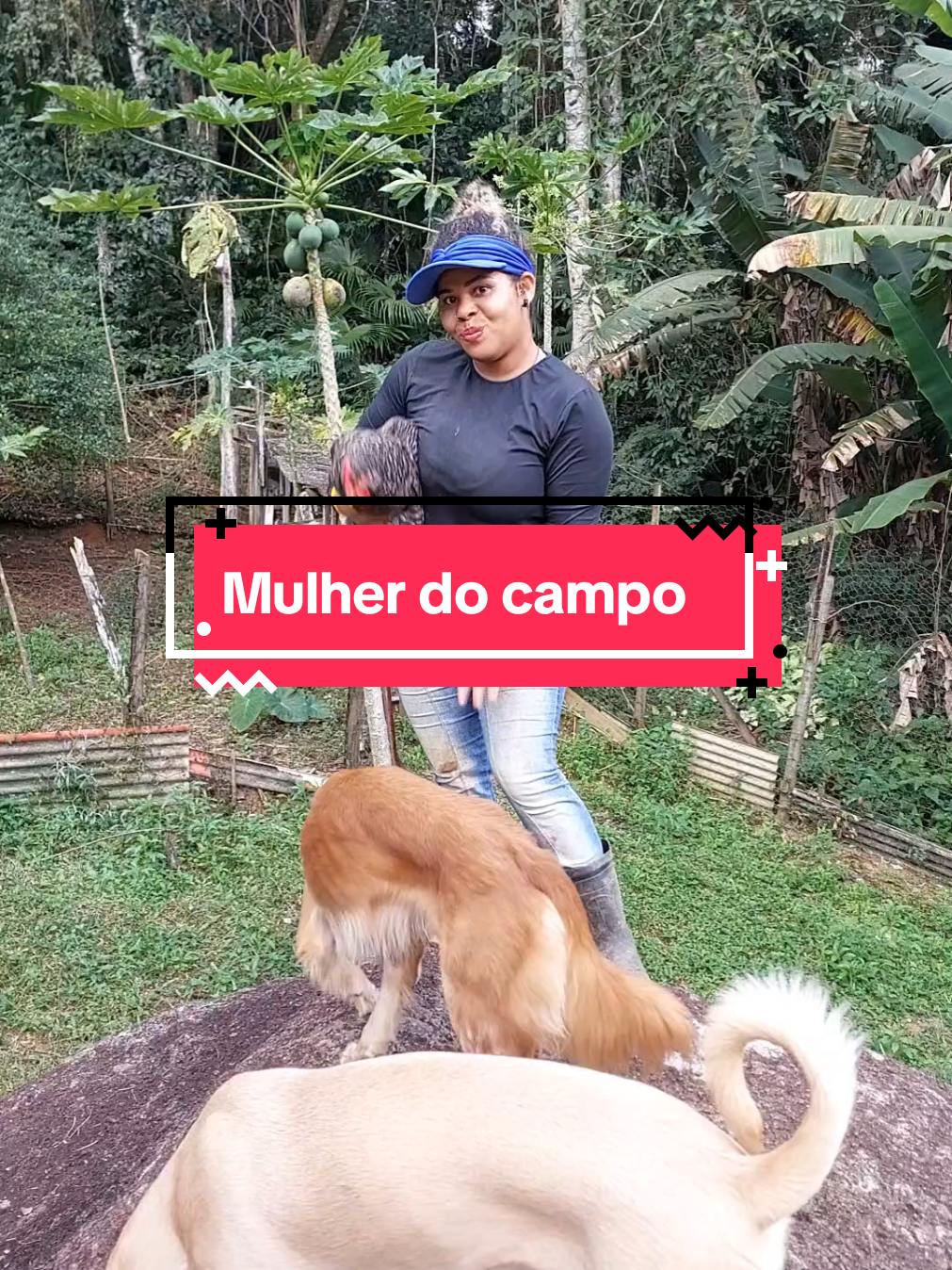 Mulher do campo: planta,colhe,cria e brilha!     #creatorsearchinsights 