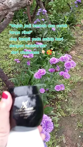 #krimflekhitam #whiteningcream #skincarechalonese #chalonese #chaloneseskincare #chalonesemoisturizer #moisturizer 