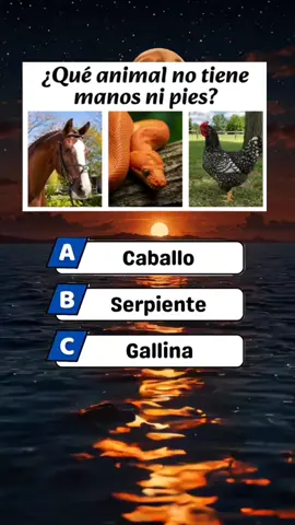#quizz #quiz #quiztime #quizchallenge #quizshow #adivina #adivinanza #tiktok 