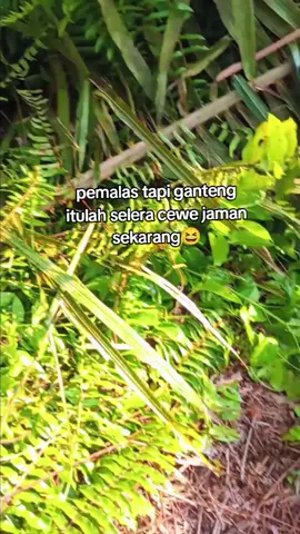 pas.#fyp ,#petanisawit 