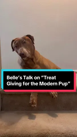 Belle has been hard at work preparing a talk on one of her favorite topics - treats 