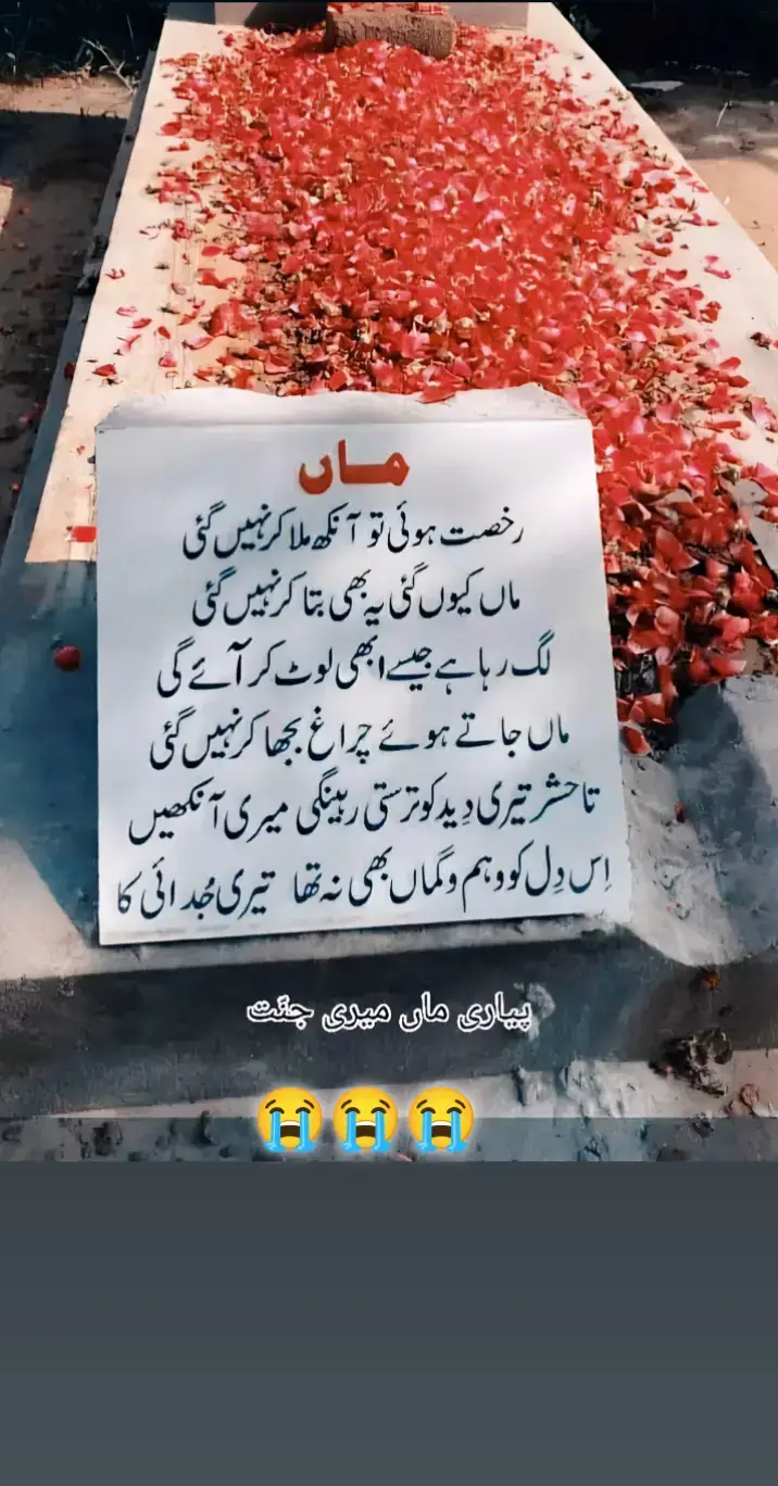#miss #you #ammi #jan #😭😭😭😭 #😭😭😭😭 #💔💔💔 #foryoupage 