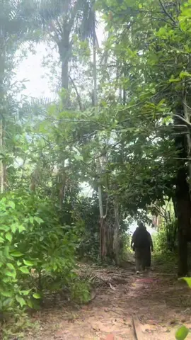 Na Amazônia. #floresta #selva #fyb