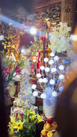 Danh lợi mong cầu đến rồi đi, chỉ có chân thành là trọn vẹn để đồng hành ! Ghế cô lận đận chữ tình Như cô năm đó đứng nhìn đợi ai…. Ai ơi đi ngược về xuôi nhớ 12/6 gé về cửa Cô  Bơ Ba Bông nha ! 🥰🌸 #cobo #cobabong #dencobo #thoaicung 