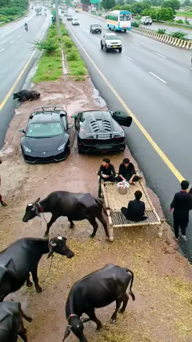 Lamborghini Ai video generated by Amjad Raees 235 #aivideo #lamborghini #salamyahussainع🚩🏴❤ #fypシ゚viral #tiktokviral #tiktokviralvideo #amjadraees235 #fyp #chatgpt #aivideo #aivideogenerated #motorwayvideo 