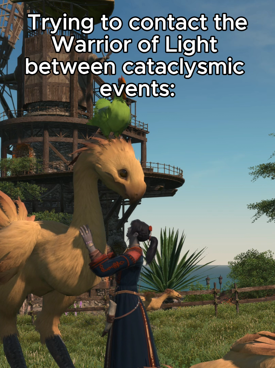 The Scions really do be playing 'Where In The World Is Carmen Sandiego?' whenever they have to contact WoL. #ffxiv #xivtok #ffxivtok #ff14 #ffxivmeme 