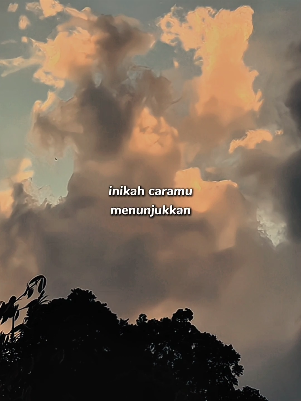 🥺🥀🥀 #CapCut #soundviral #foryou #antemplate #templatecapcut 