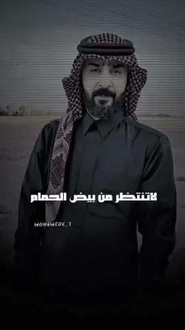 لاتنتظر 🔥 #وسام_البريحي #وسام_البريحي🏇 #foryou #شعر #قصايد #محمد١ @وسام البريحي 