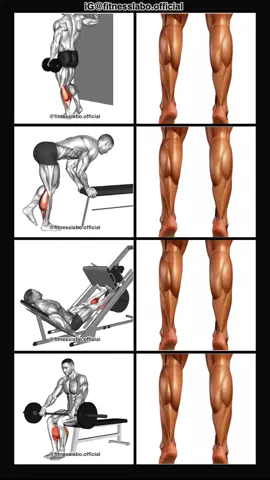 ✅ Exercises for Bigger Calves  ① One Leg Standing Calf Raise  ② One Leg Donkey Calf Raise  ③ Calf Raise on Leg Press Machine  ④ Barbell Seated Calf Raise  3 sets 15-20 reps  #Fitness #gym #exercise  #workout #workoutroutine  #exercisetips  #fitnesstips  #bodybuilding  #legday #calfworkout 