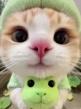 #meo #cat #giaitritiktok #xuhuongtiktok #dangyeu 