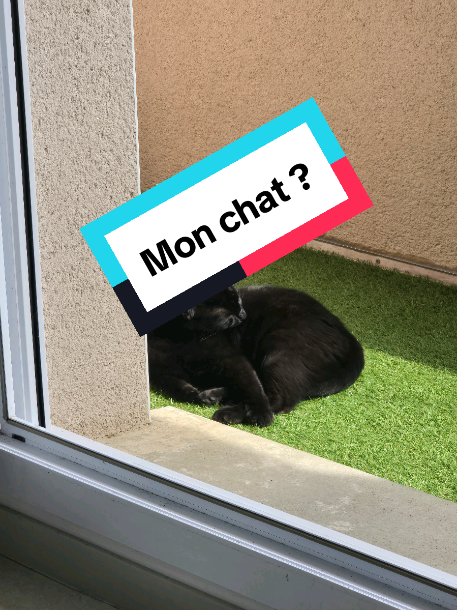 Des idées ?
