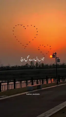 Tanu Dil Dai Mahal Vich Rakiya Lako Ky 🥺❤️‍🔥🌸 #subhan_aesthetic #500k  . . . . . #subhanfam #foryoupage #edit #aesthetic #lyrics #1m #viralvideo #growmyaccount #deartiktokteamdontunderviewmyvideos #1millionviews #viraltiktok #editor #favorite #lovesong 