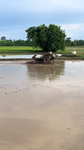 #รถไถย้ำนาง🌾🚜 